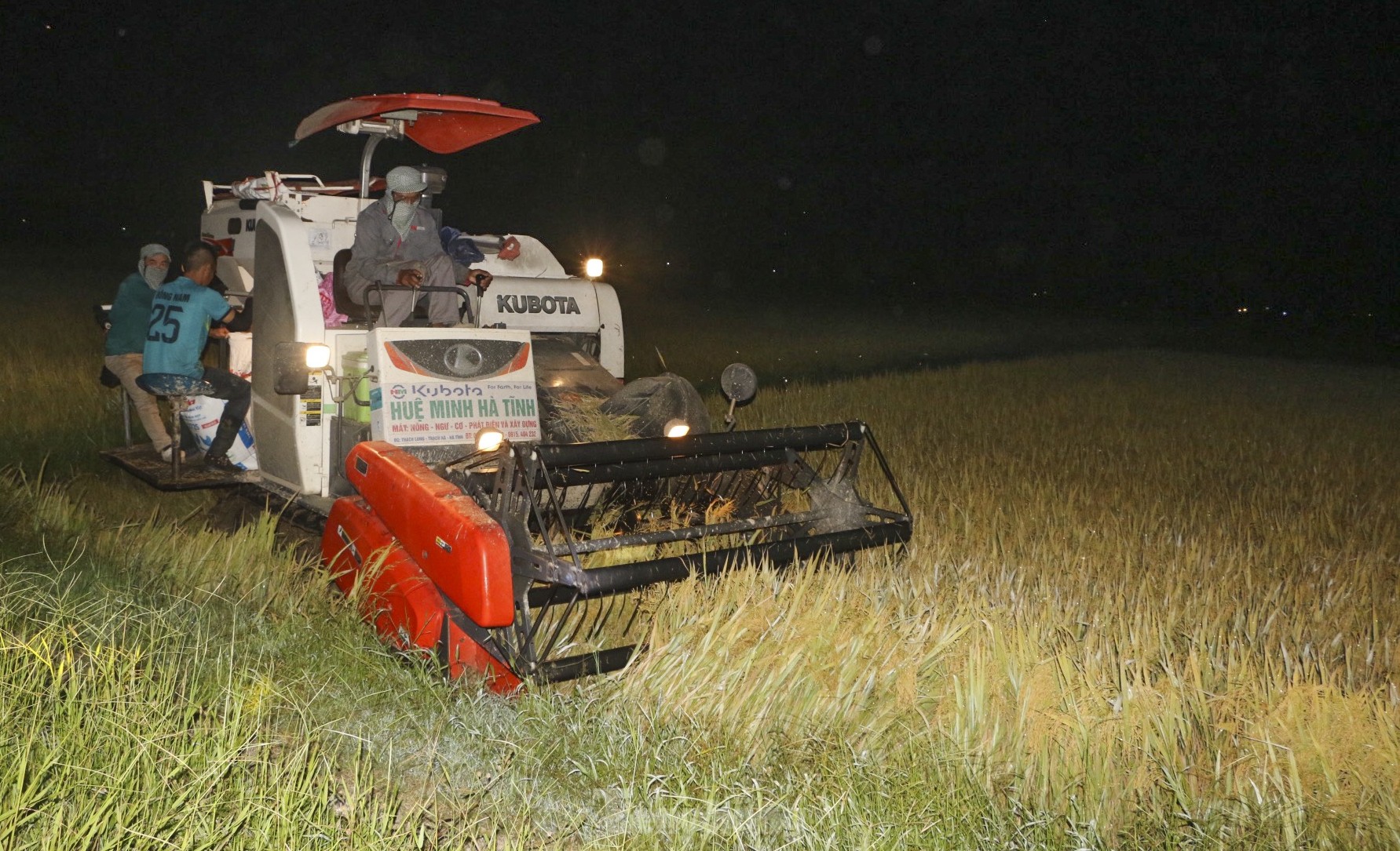 Nông dân Hà Tĩnh đội đèn gặt lúa trong đêm để tránh nắng ảnh 3