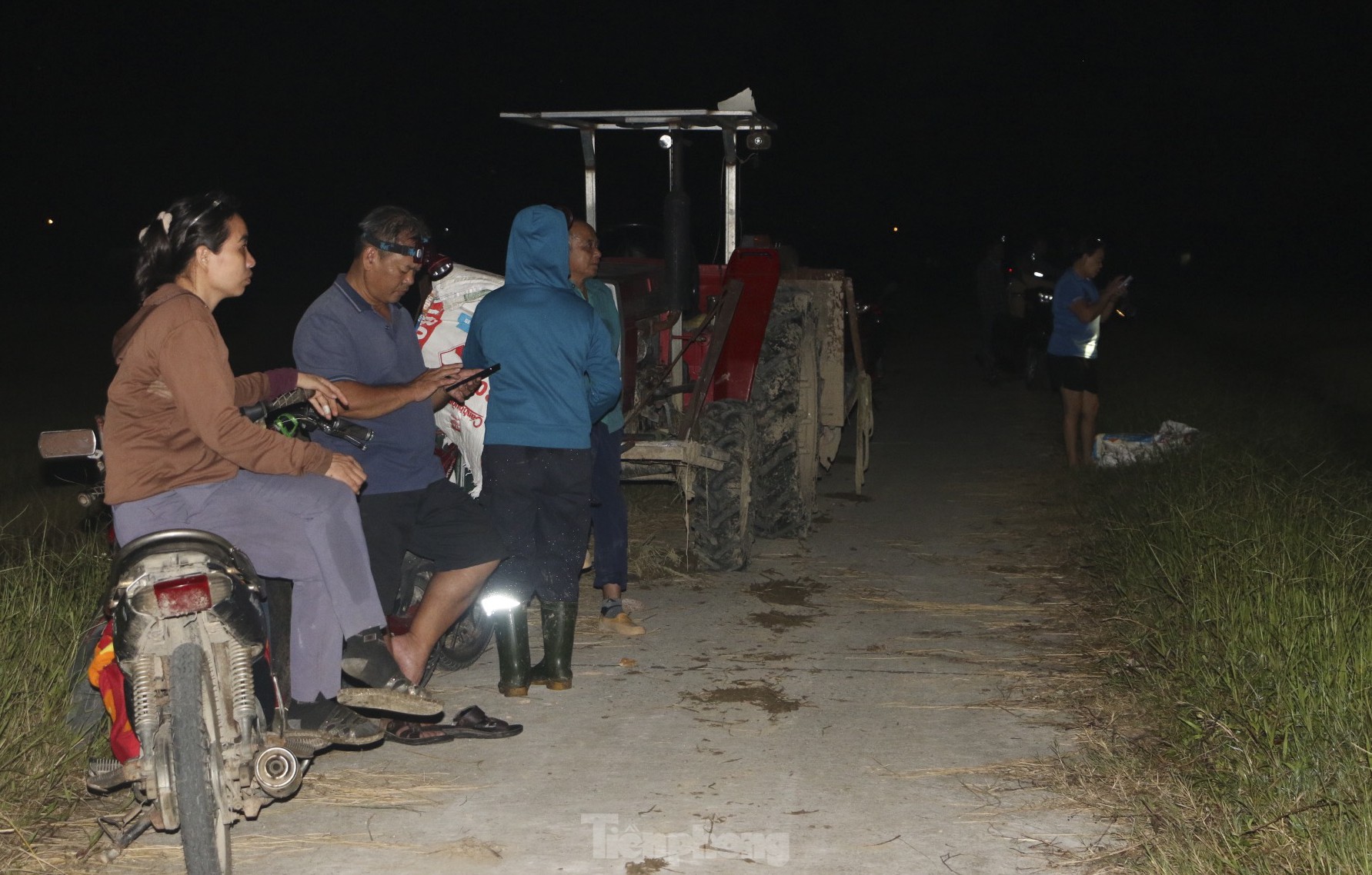 Nông dân Hà Tĩnh đội đèn gặt lúa trong đêm để tránh nắng ảnh 7