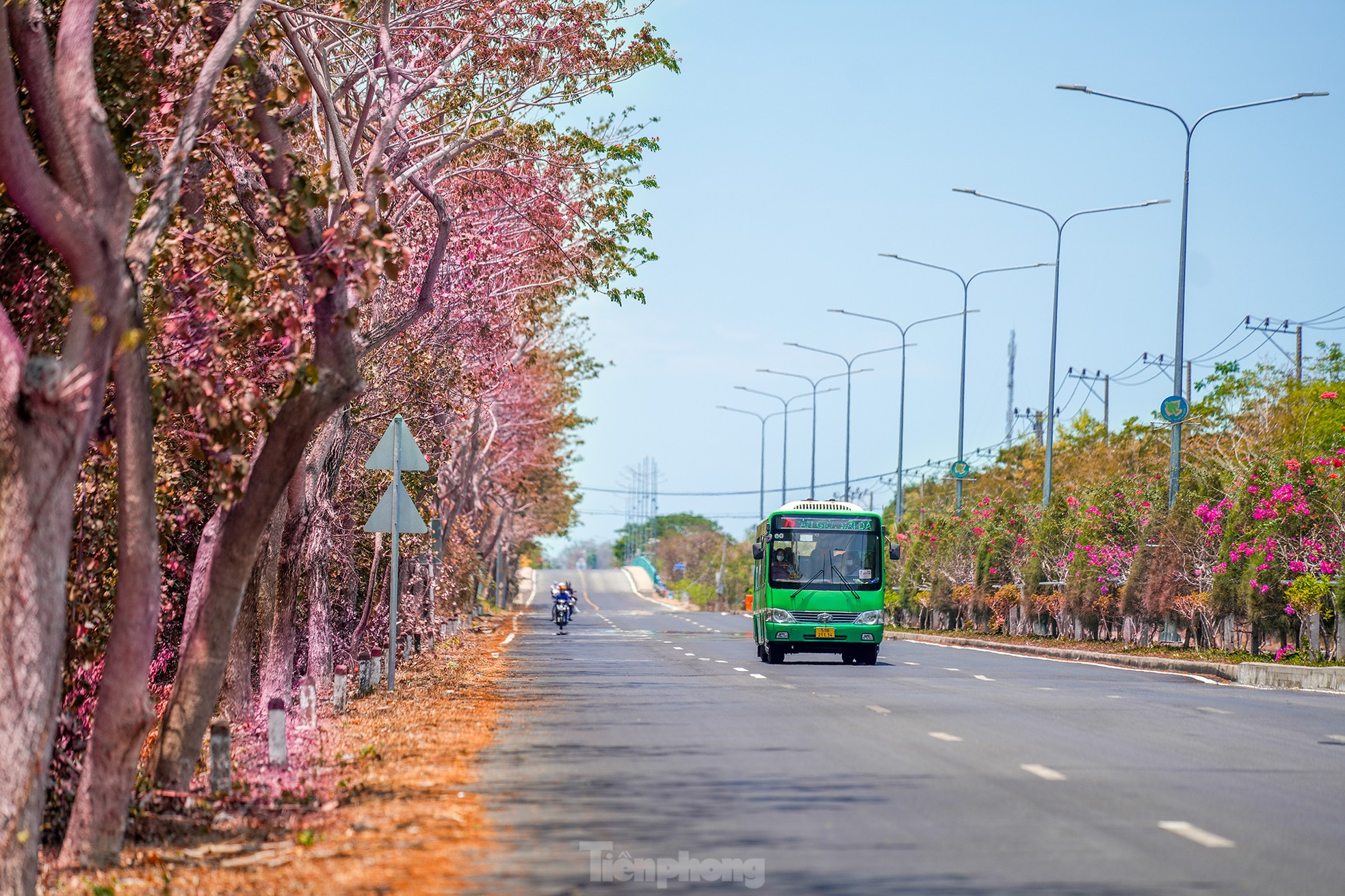 Живописная уникальная дорога через лес в Хошимине - Vietnam.vn