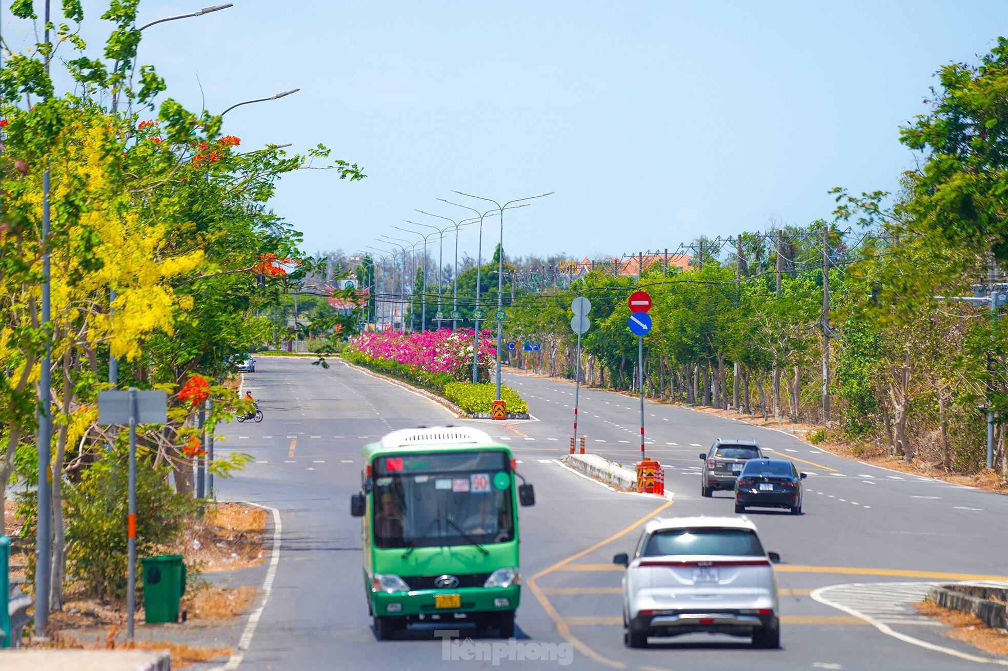 Живописная уникальная дорога через лес в Хошимине - Vietnam.vn