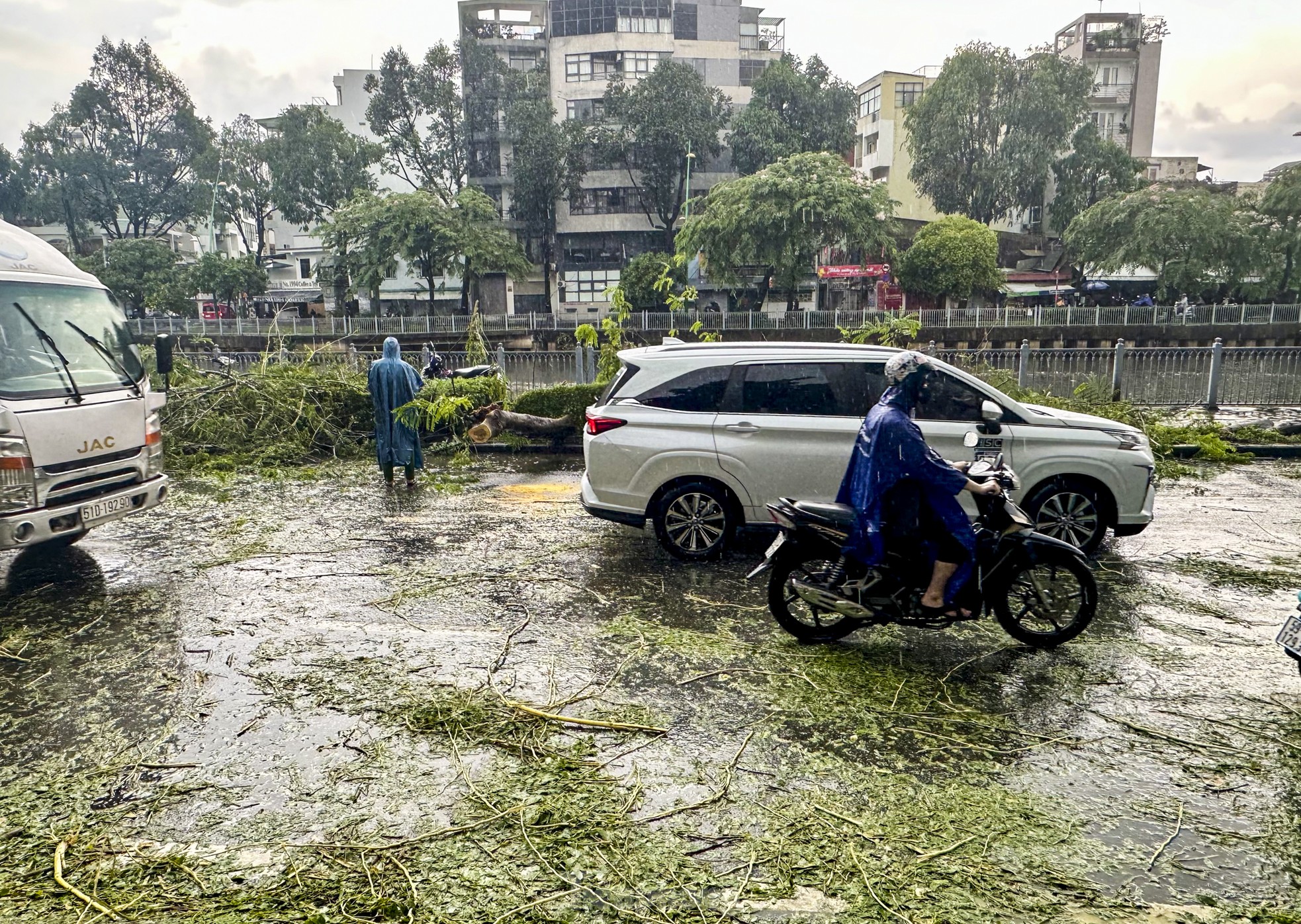 Cây xanh bật gốc, giao thông rối loạn trong cơn mưa lớn chiều nay ở ...