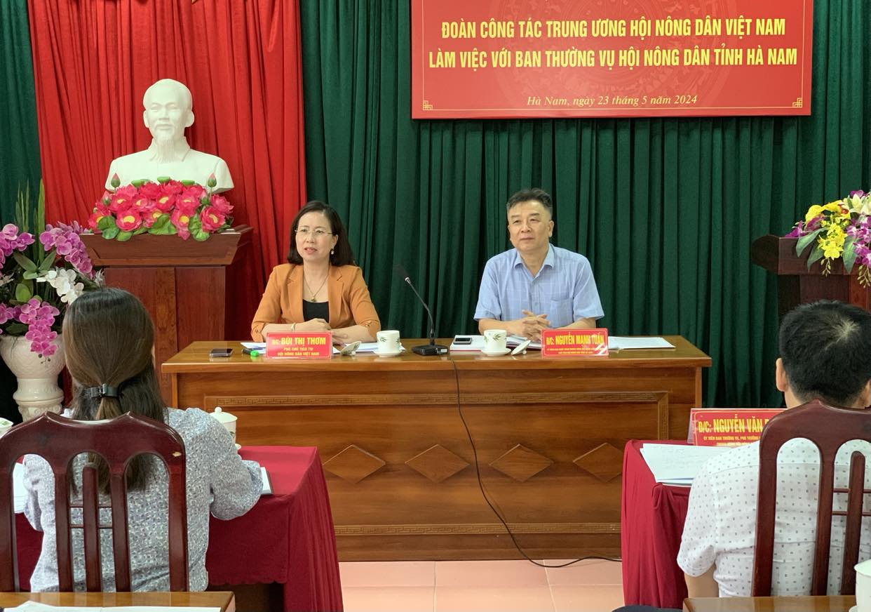 Phó Chủ tịch BCH Hội Nông dân Việt Nam Bùi Thị Thơm làm việc với Hội Nông dân tỉnh Hà Nam- Ảnh 4.