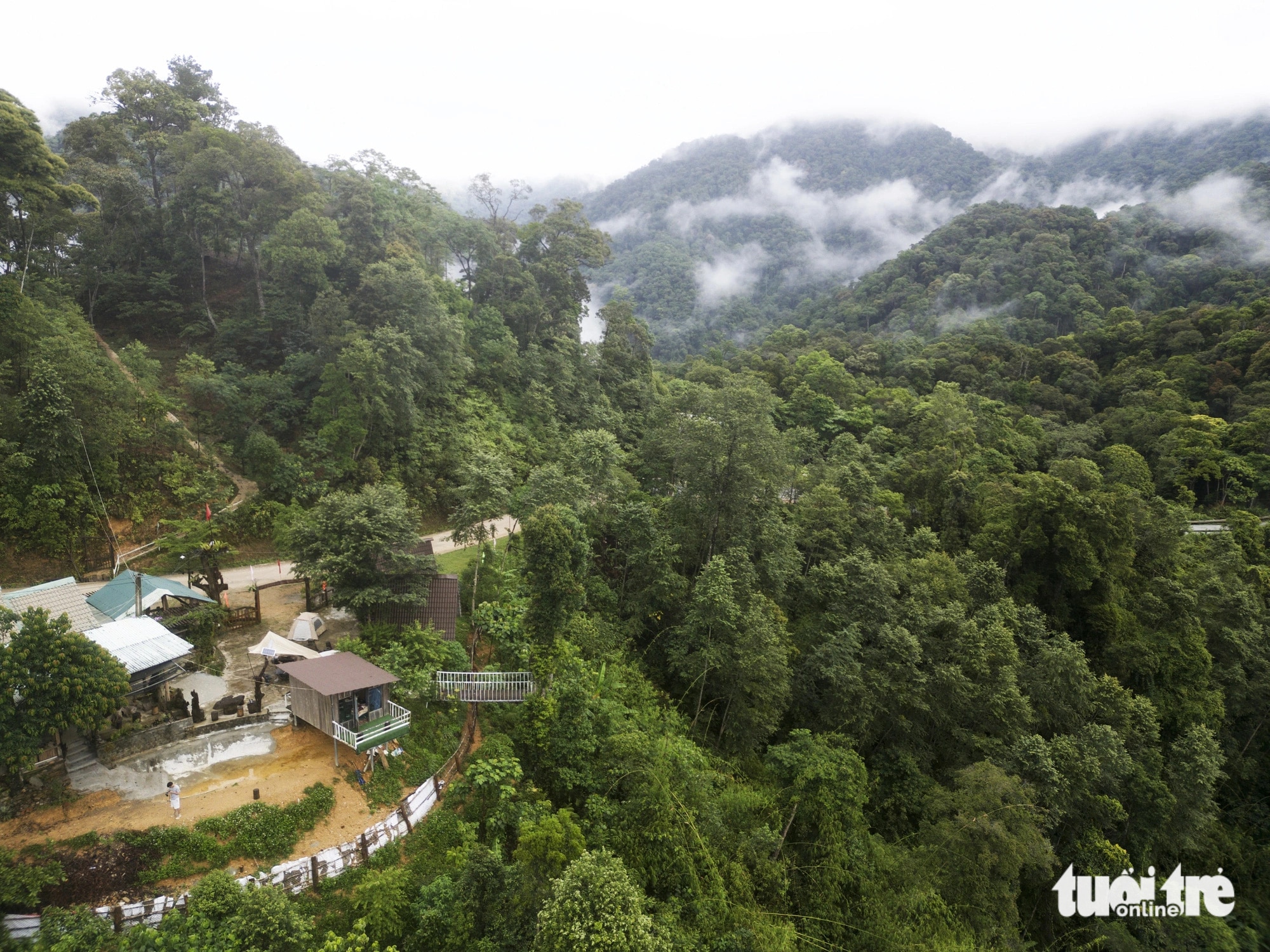 Những mái nhà của người dân kinh doanh dịch vụ du lịch ở đỉnh Quế nằm dưới tán rừng - Ảnh: B.D.