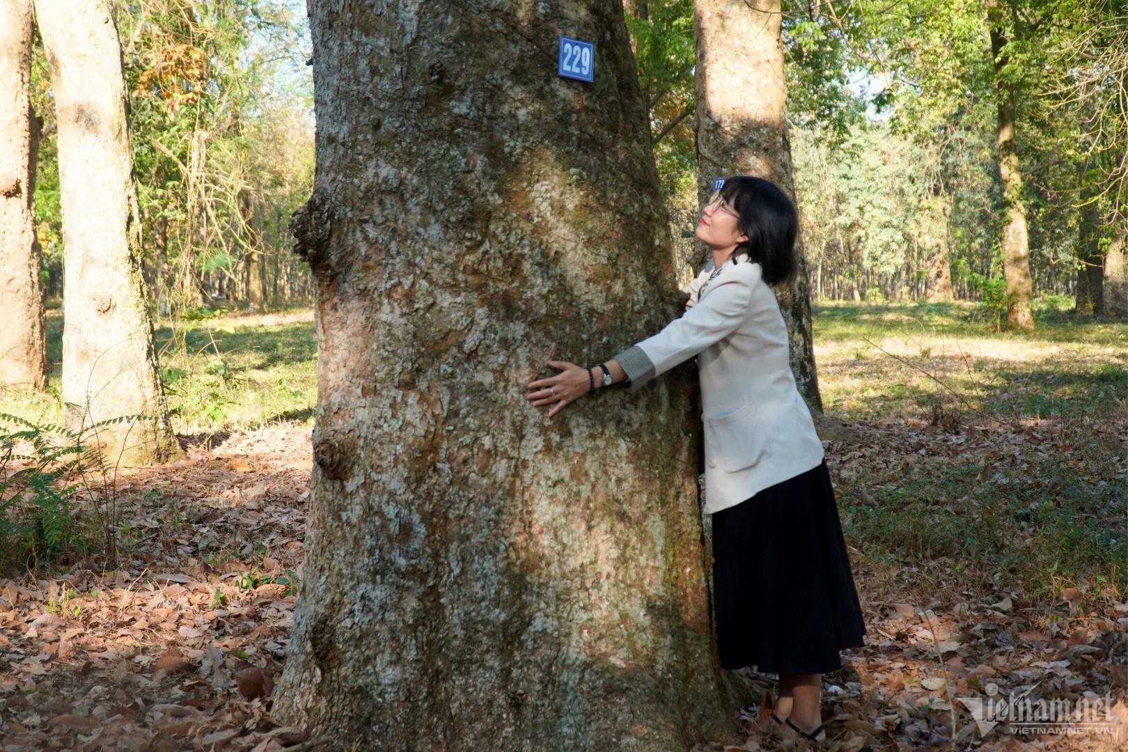 Полюбуйтесь «сокровищем», спрятанным более века в Донгнае - Vietnam.vn