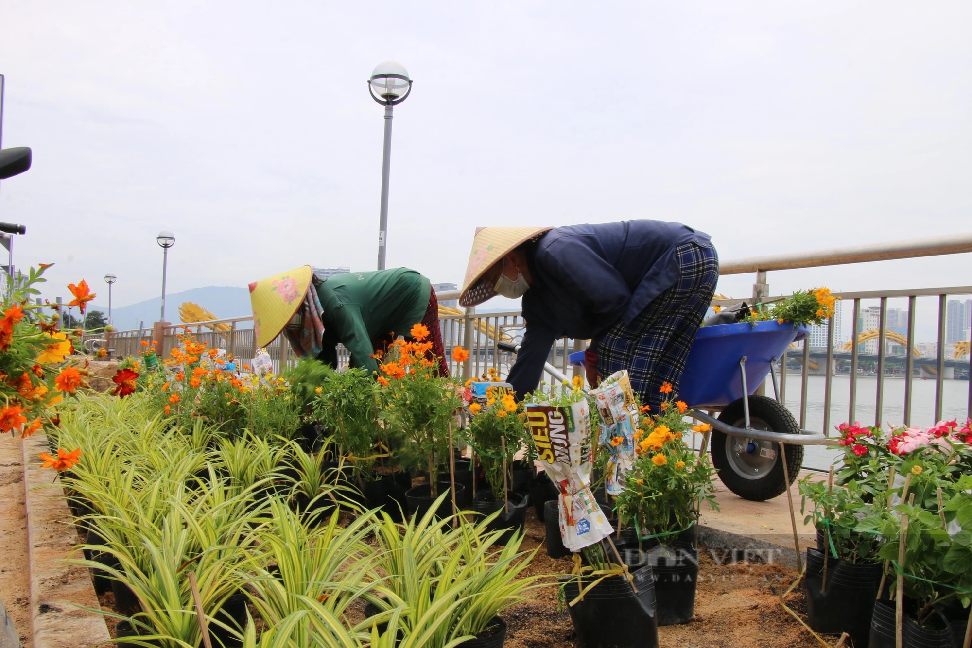 Phố du lịch đêm Bạch Đằng tại trung tâm Đà Nẵng thành hình, đầu tháng 6 hoạt động- Ảnh 5.