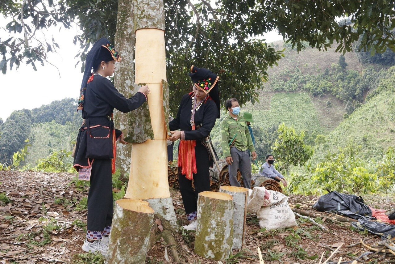 Từ các mô hình khởi nghiệp đã giúp tạo công ăn việc làm ổn định, nâng cao thu nhập cho vùng đồng bào DTTS