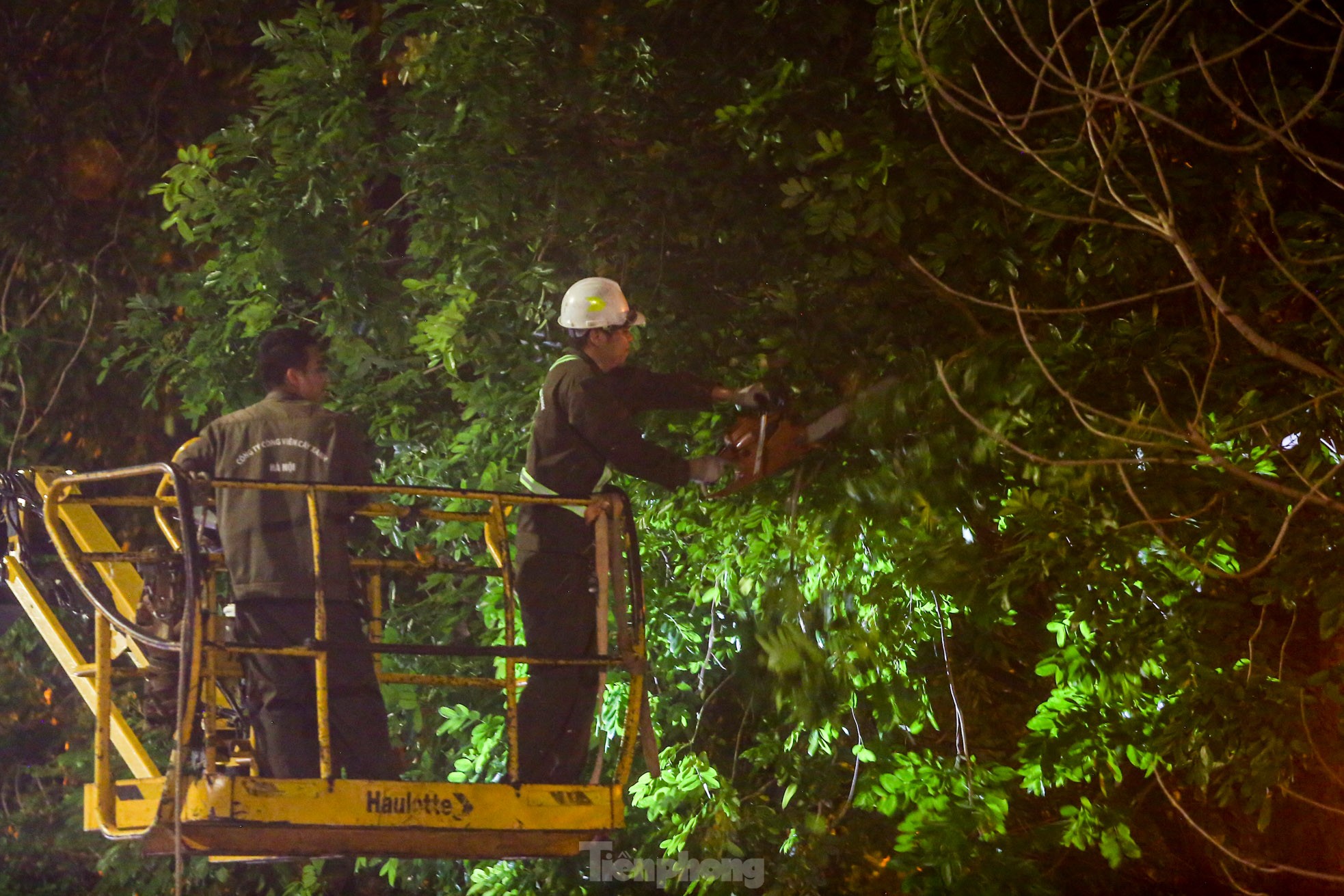 Xuyên đêm cắt tỉa hàng cây xà cừ trăm tuổi trên đường Láng ảnh 7
