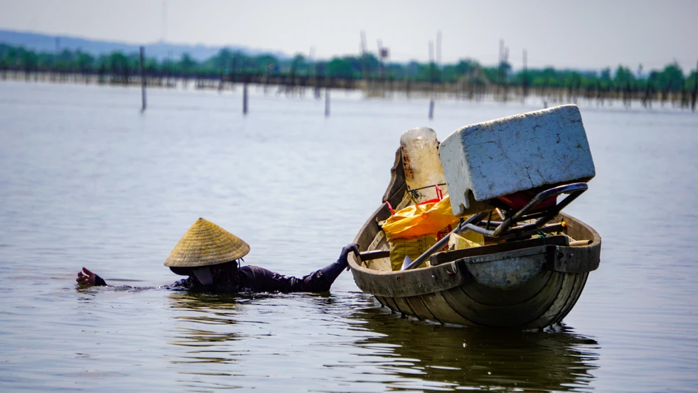 Ở phá Tam Giang nơi được ví là biển cạn, có loại hải sản được coi là 