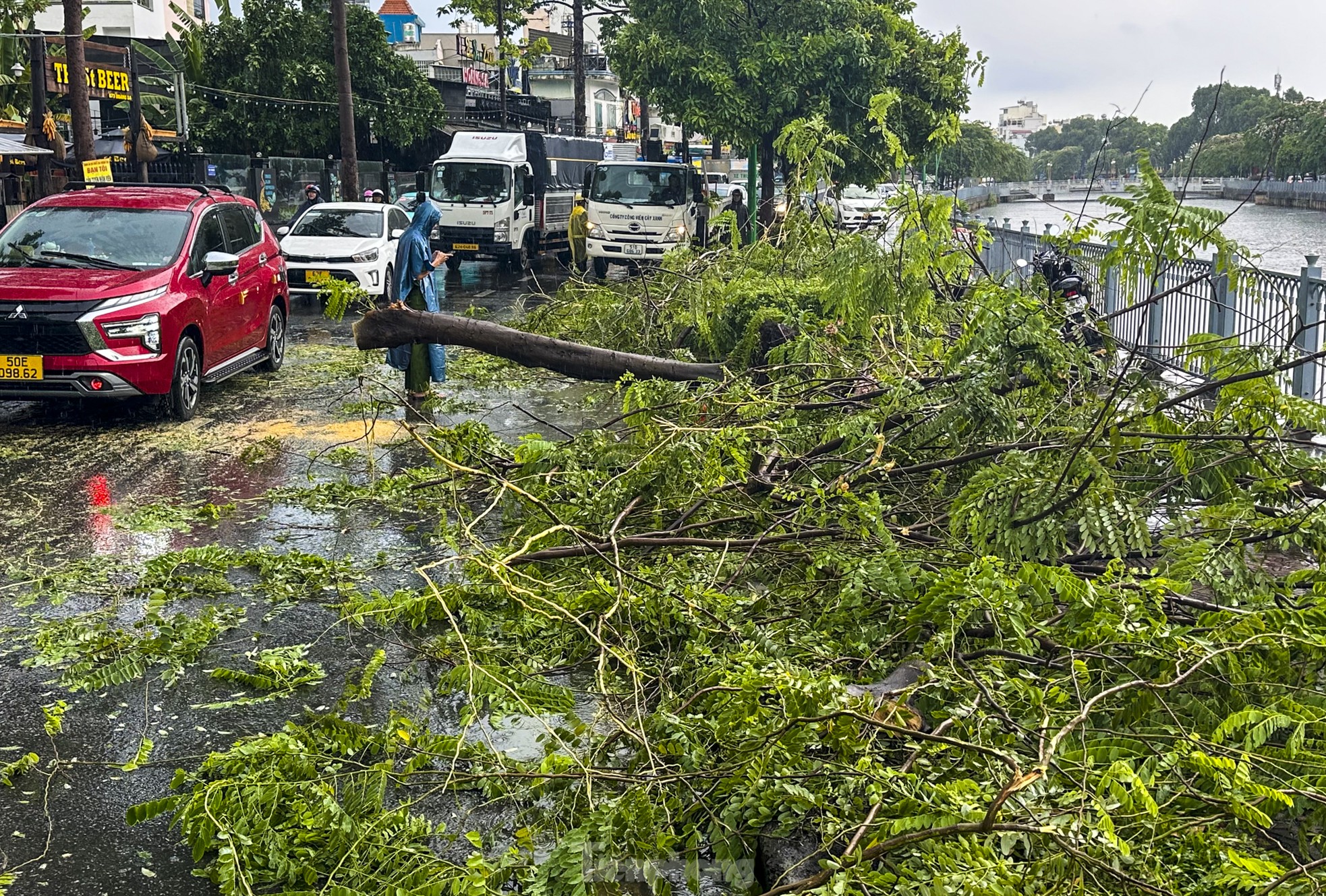 Cây xanh bật gốc, giao thông rối loạn trong cơn mưa lớn chiều nay ở ...