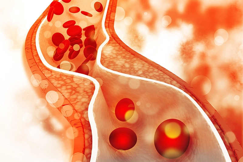 Cholesterol có mặt tại hầu hết các tế bào và bộ phận trên cơ thể