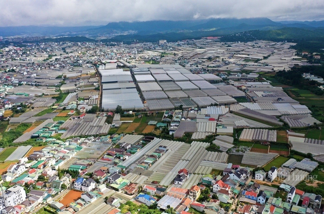 Далат в «шторме» изменения климата - Vietnam.vn