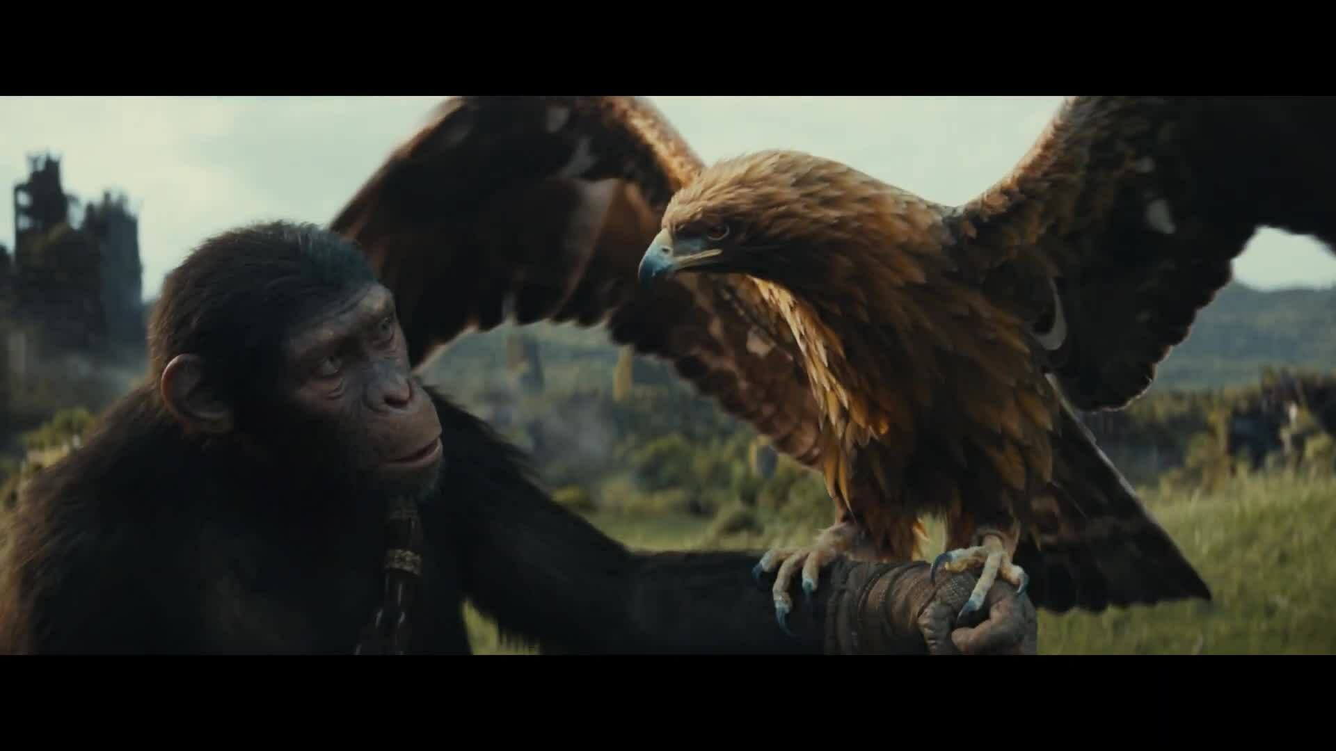 Teaser 'Kingdom of the Planet of the Apes'
