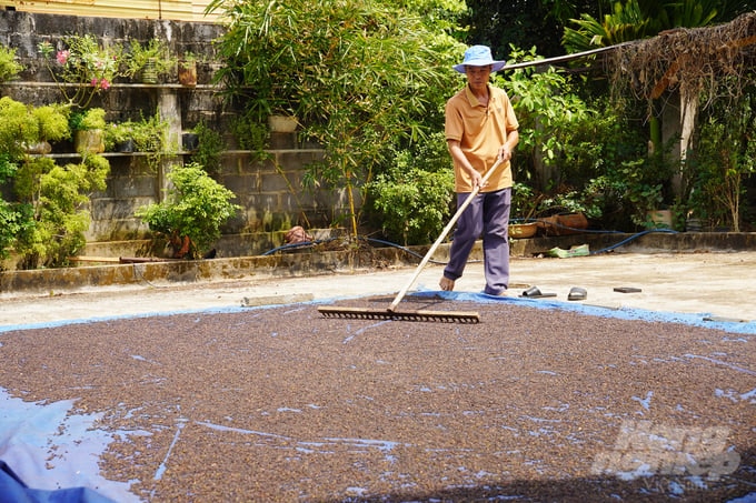 Nhiều nông dân trên địa bàn xã Lâm San (huyện Cẩm Mỹ, tỉnh Đồng Nai) kiên trì canh tác hồ tiêu theo phương pháp hữu cơ. Ảnh: Nguyễn Thủy.