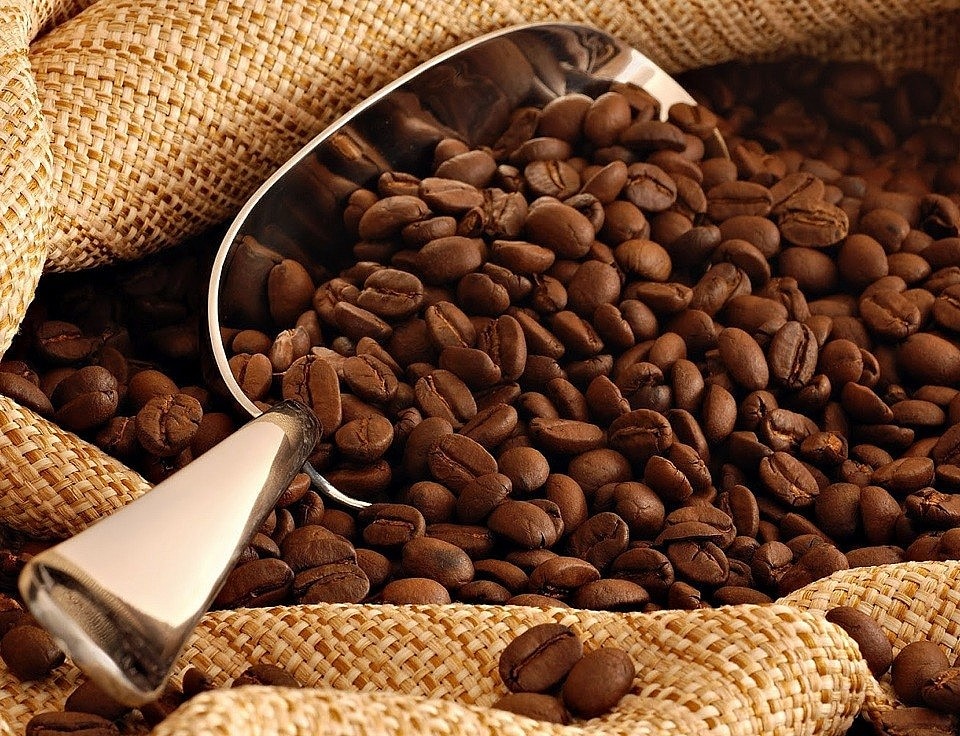 Xuất khẩu cà phê của Việt Nam sang thị trường Tây Ban Nha tăng trưởng khả quan 