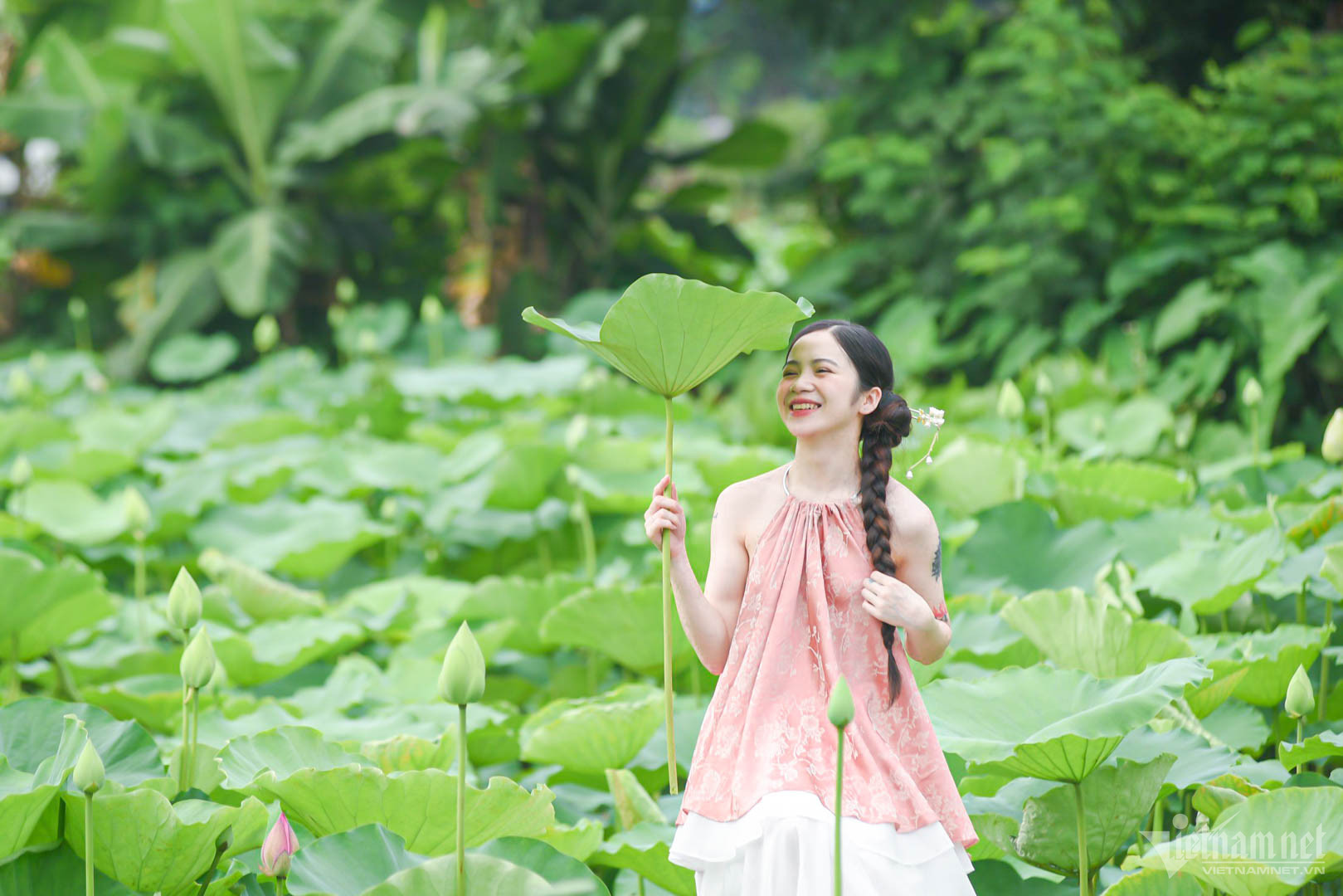 hanoi-s-lotuses-bloom-early-the-bustling-muse-dresses-up-to-pose-for