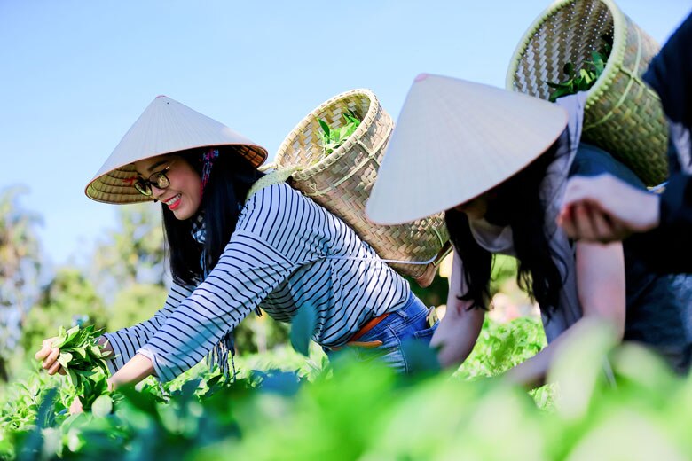 Bộ trưởng Lê Minh Hoan: Tích hợp phát triển du lịch nông nghiệp: 