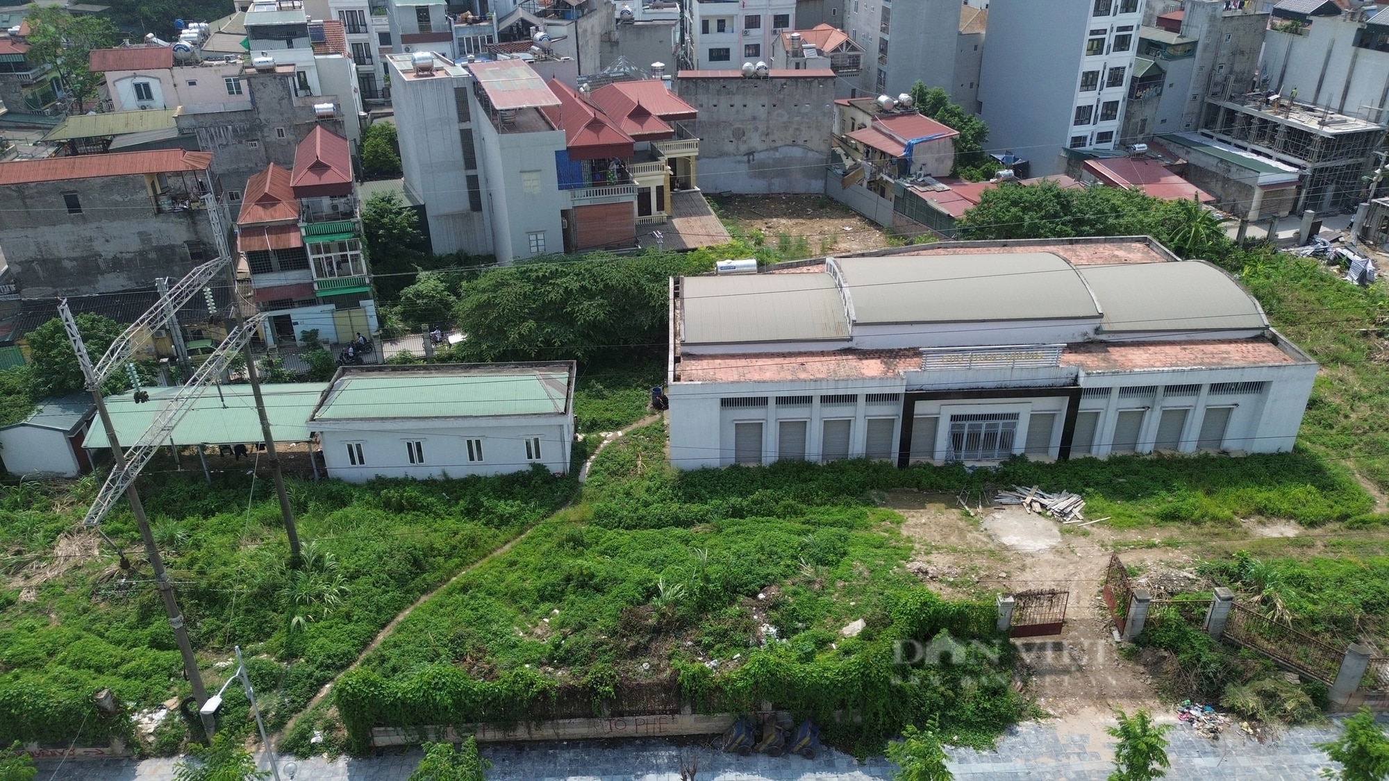 Bên trong chợ dân sinh ở Hà Nội bỏ hoang gần 10 năm, cỏ mọc um tùm quá đầu người- Ảnh 2.