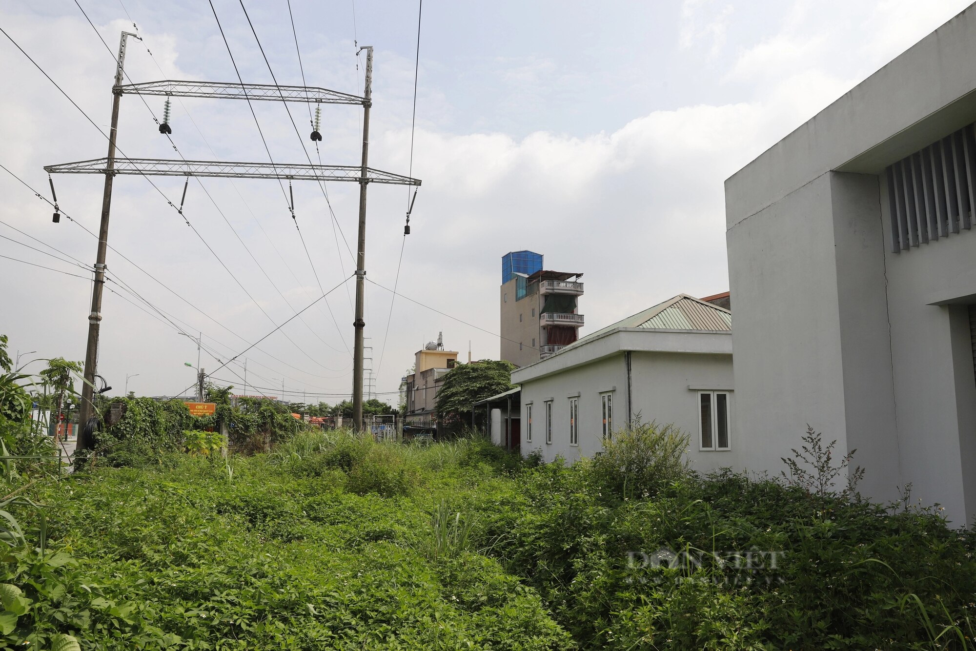 Bên trong chợ dân sinh ở Hà Nội bỏ hoang gần 10 năm, cỏ mọc um tùm quá đầu người- Ảnh 5.