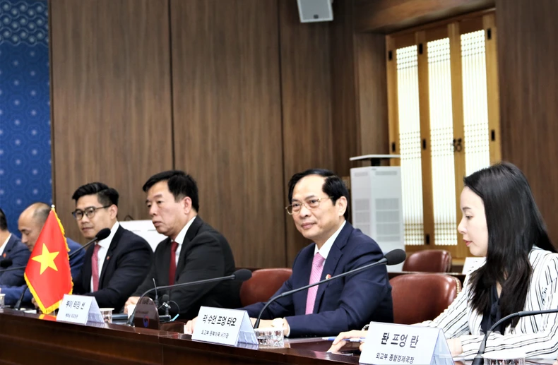 Bộ trưởng Ngoại giao Bùi Thanh Sơn hội đàm với Bộ trưởng Ngoại giao Hàn Quốc Cho Tae-yeol ảnh 2