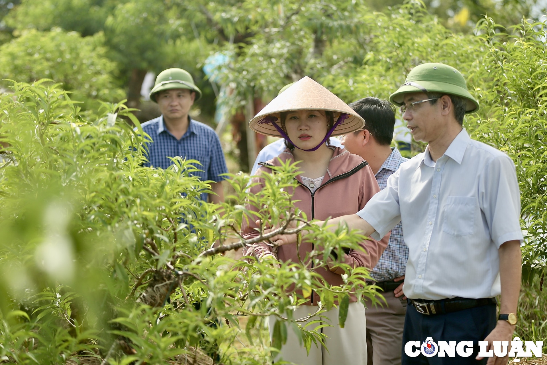 phong vien cac co quan bao chi trung uong thuong tru tai thanh hoa di thuc te tai huyen trieu son hinh 2