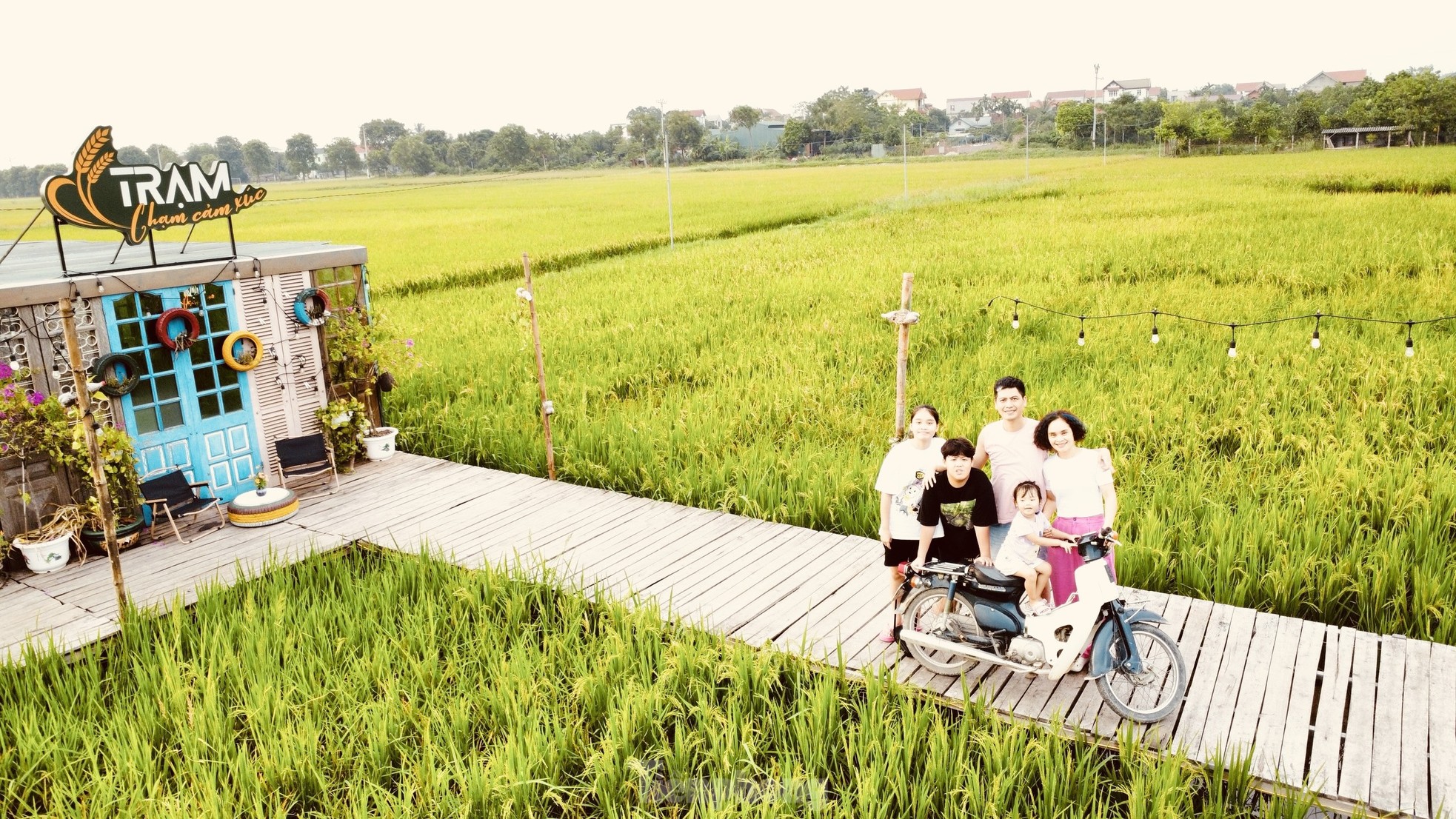 Quán cà phê giữa cánh đồng lúa chín vàng ở ngoại ô Hà Nội thu hút giới trẻ ảnh 7