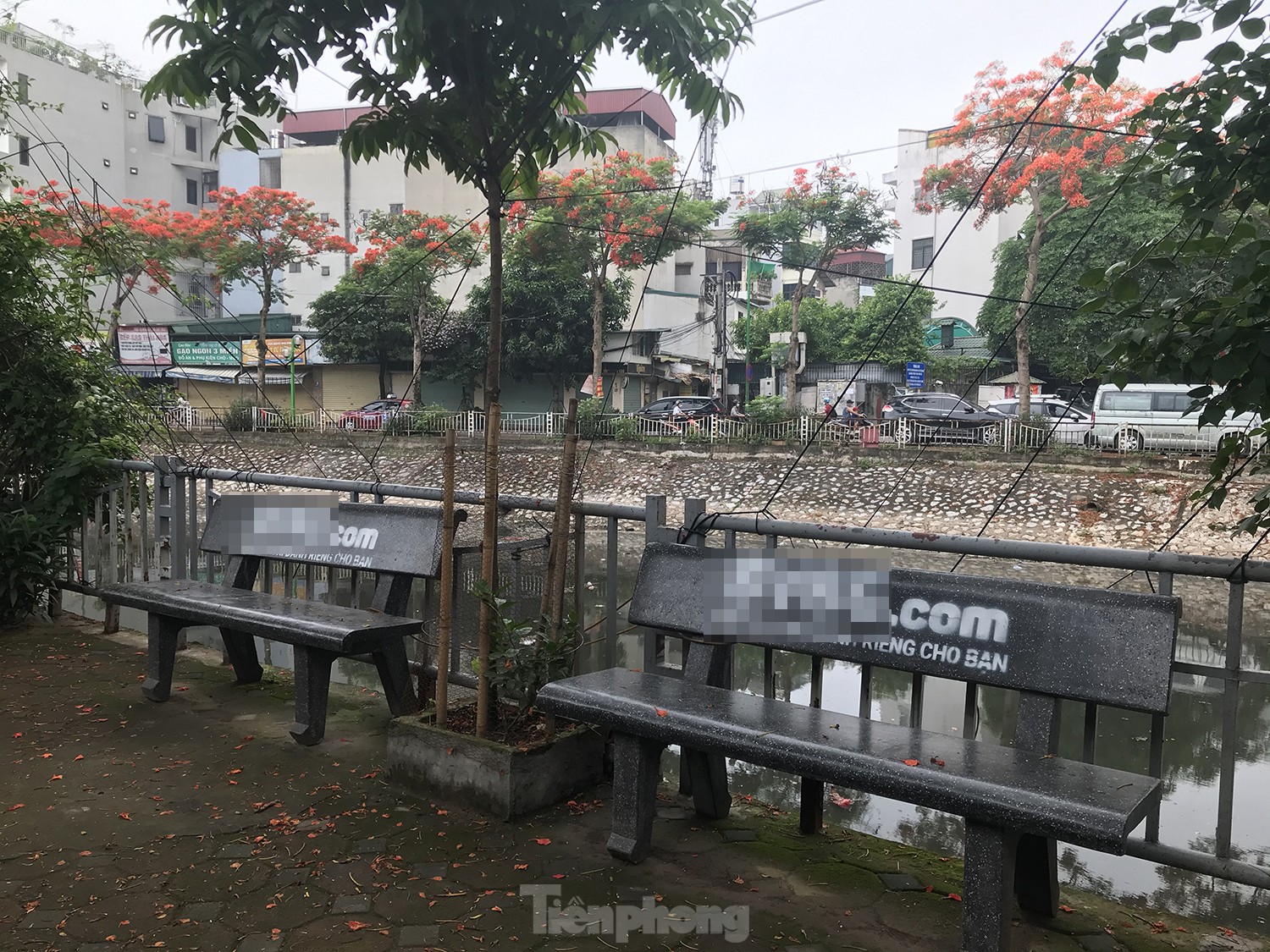 Loạt ghế đá ven sông ở Hà Nội bị sơn tên web cờ bạc ảnh 4