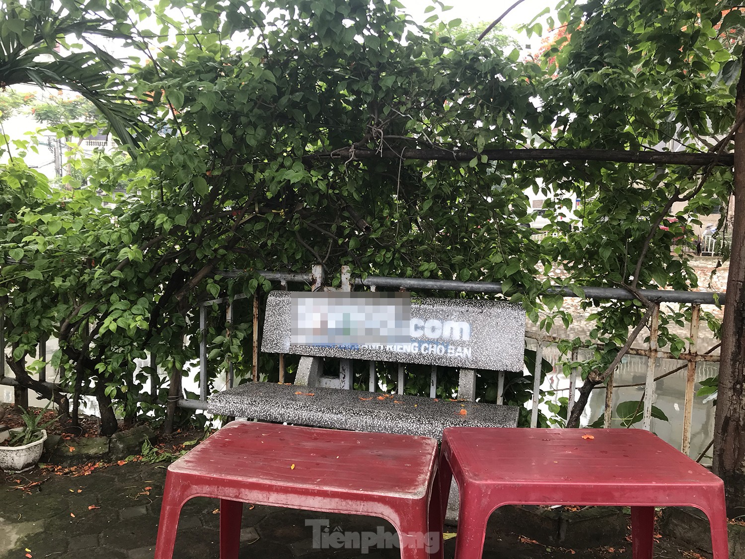 Loạt ghế đá ven sông ở Hà Nội bị sơn tên web cờ bạc ảnh 6