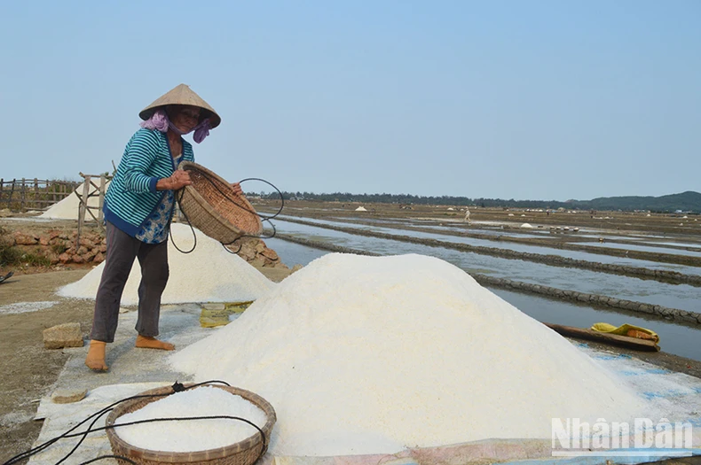 Bảo tồn đồng muối truyền thống Sa Huỳnh gắn với phát triển du lịch cộng đồng ảnh 2