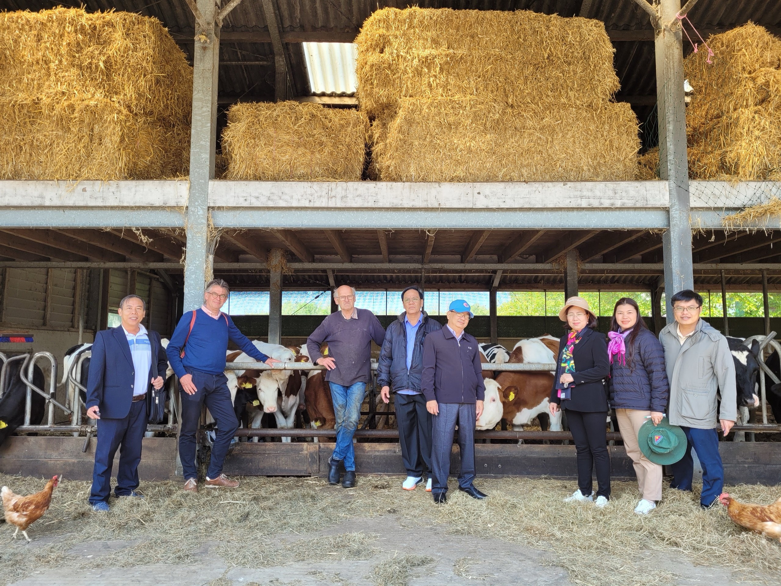 Đoàn công tác Trung ương Hội Nông dân Việt Nam thăm trang trại đa mục đích Hoeve Ackerdijk tại Hà Lan- Ảnh 4.