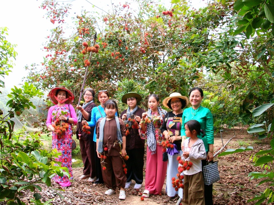 Du khách thích thú khi vừa tham quan vườn chôm chôm và thưởng trái cây tại vườn.