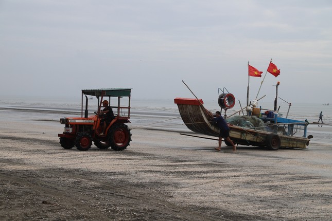 Ngư dân xứ Nghệ rộn ràng mùa thu hoạch ruốc biển ảnh 2