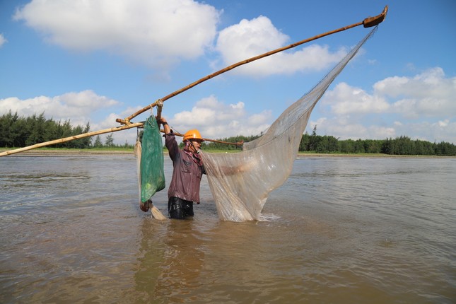 Ngư dân xứ Nghệ rộn ràng mùa thu hoạch ruốc biển ảnh 8