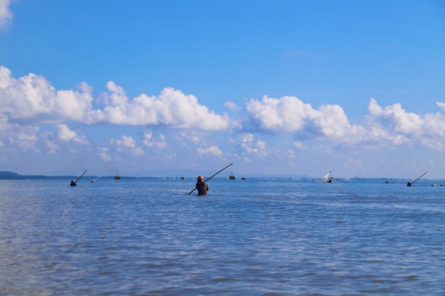 Ngư dân xứ Nghệ rộn ràng mùa thu hoạch ruốc biển ảnh 7