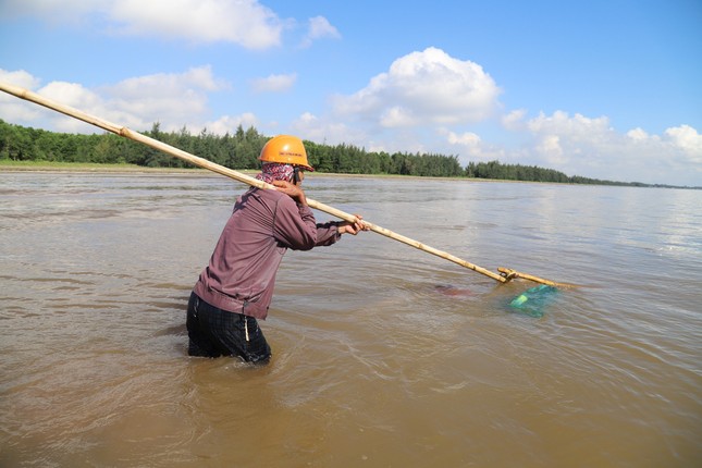 Ngư dân xứ Nghệ rộn ràng mùa thu hoạch ruốc biển ảnh 9