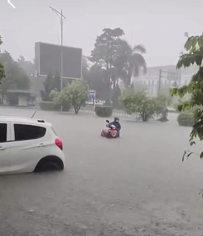 Quảng Ninh mưa như trút nước, ô tô xe máy 'bơi' trên đường ảnh 8