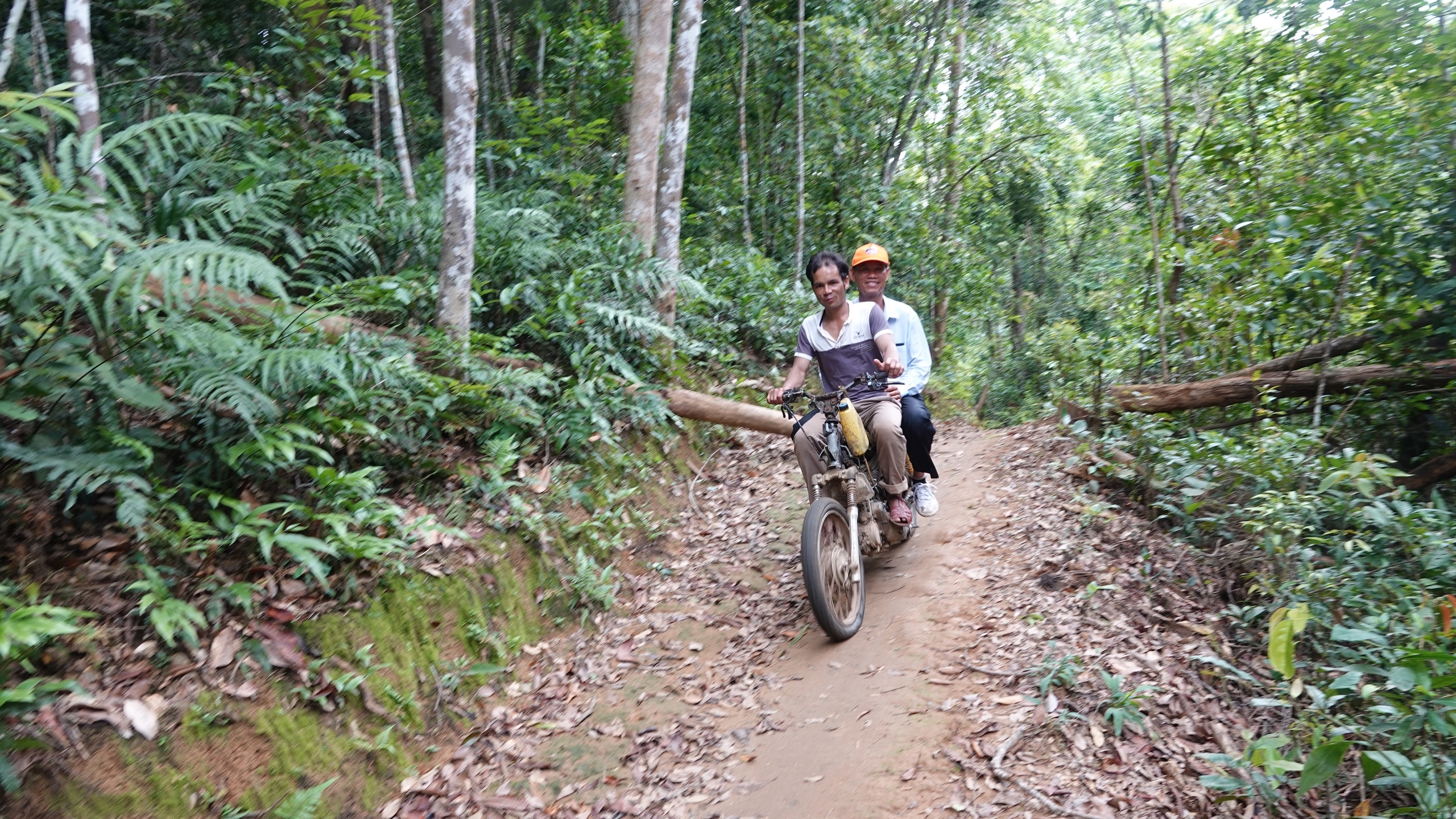 Chủ tịch tỉnh Bình Định chỉ đạo làm đường, cấp điện cho thôn biệt lập giữa rừng- Ảnh 3.