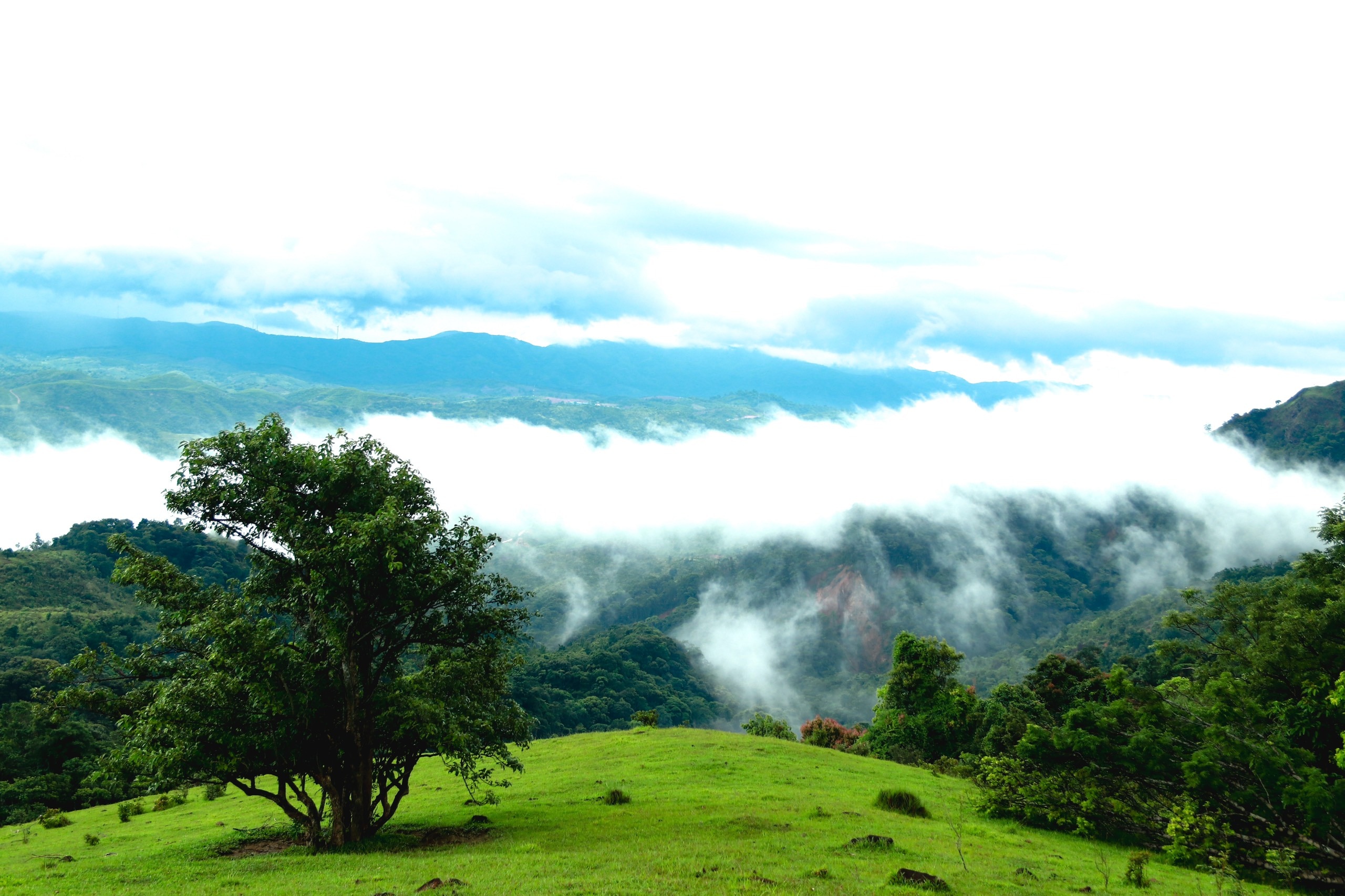 Khám phá thảo nguyên xanh ngắt giữa bốn bề núi rừng Quảng Trị- Ảnh 10.