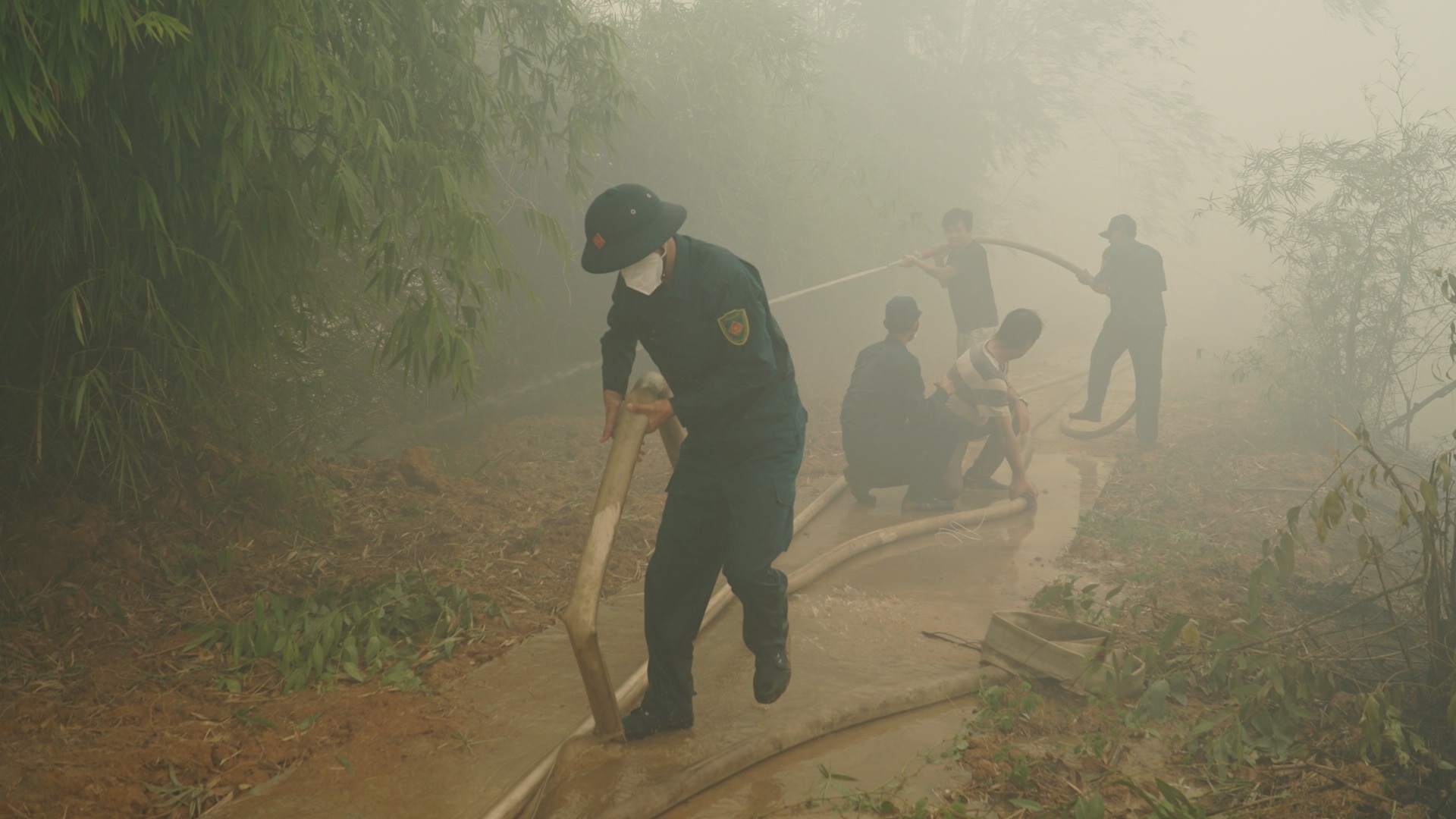 Điều tra, xử lý nghiêm người gây cháy rừng ở Vườn quốc gia Tràm Chim- Ảnh 2.