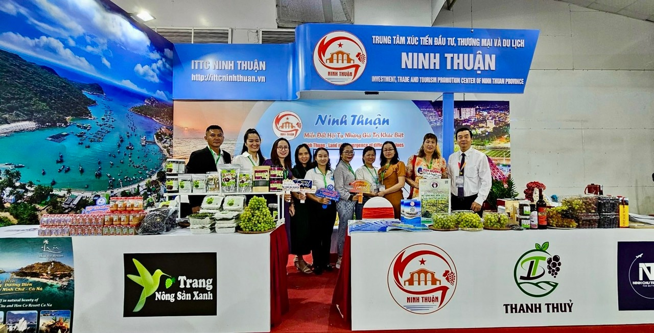 Du lịch Ninh Thuận 6 tháng đầu năm 2024 đã có bước khởi sắc - Ảnh 3.