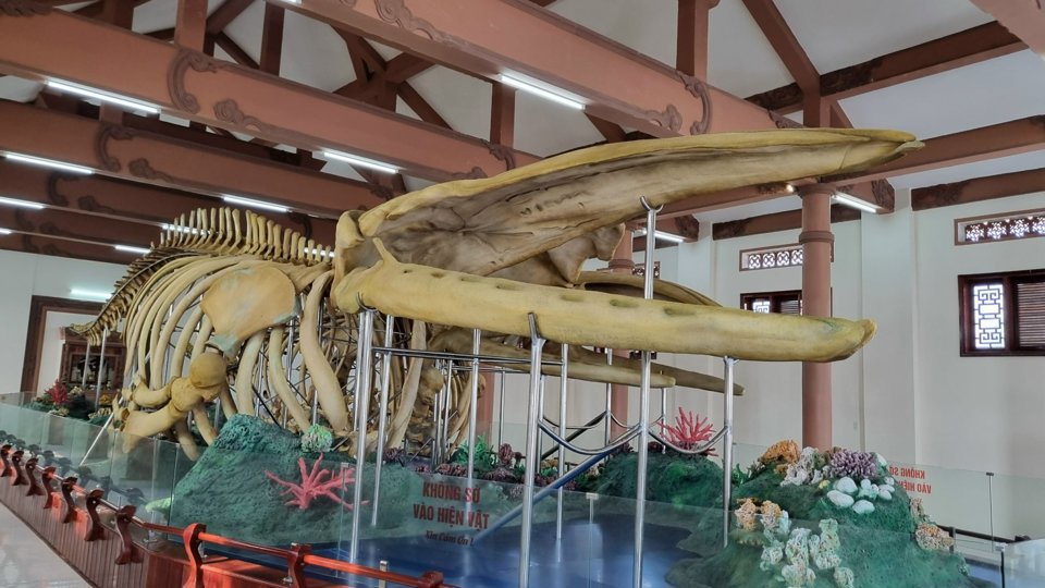 Trước kia, xương cá voi được lưu giữ trong lăng, nhưng qua thời gian hàng trăm năm nên bị hư hỏng nhiều chỗ, đặc biệt là phần đầu. Đơn vị phục dựng phải dùng phương pháp nhựa hóa một số phần xương mục và tôn tạo phần đầu cá bằng nhựa composite.