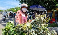 Người Quảng Nam đi chợ mua 'lá mùng 5' dịp Tết Đoan Ngọ