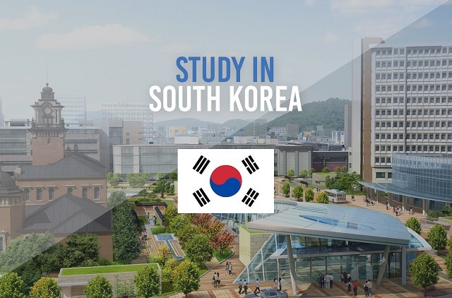 Website nisshin.edu.vn - Cung cấp thông tin du học Hàn Quốc bổ ích - Ảnh 3