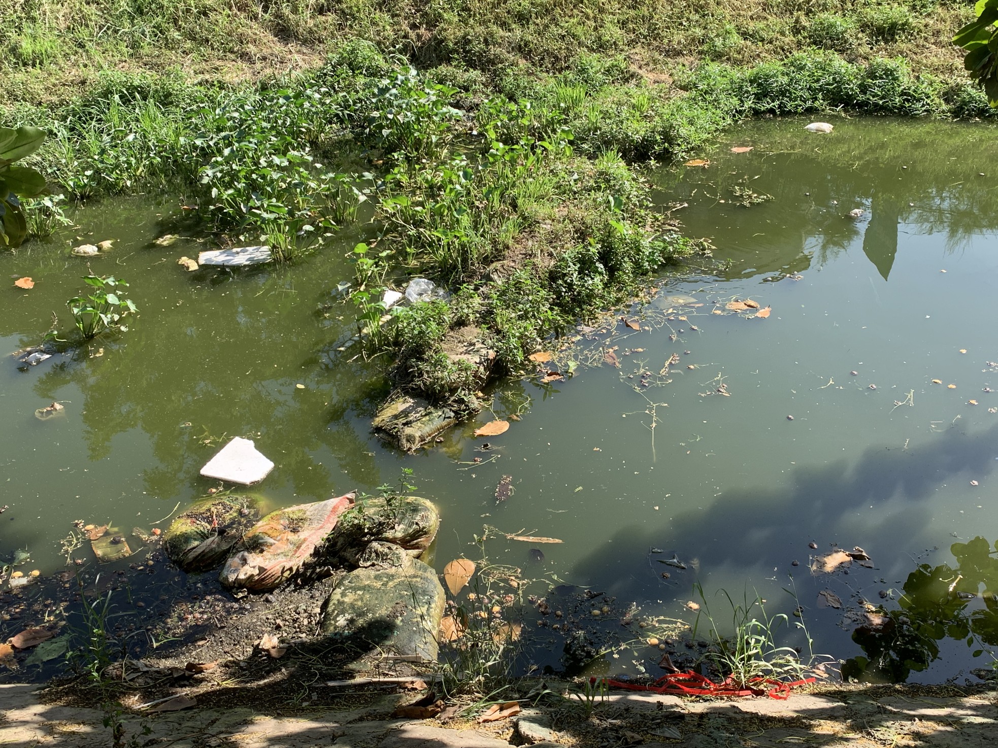 Tuyến kênh hở gây ô nhiễm ở Đà Nẵng được đầu tư hơn 105 tỷ đồng xây công viên ảnh 3