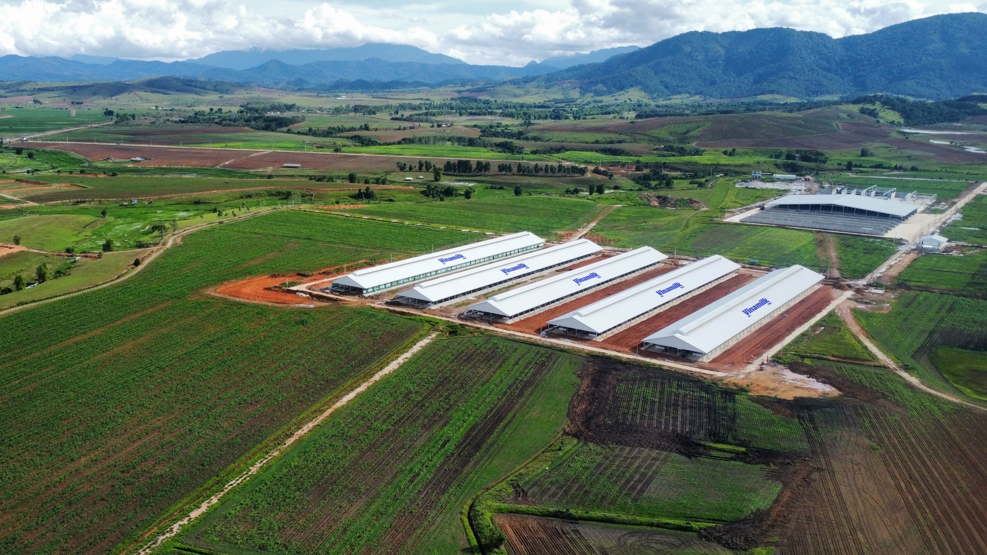 Trang trại Vinamilk Lào - Jagro tại cao nguyên Xiêng Khoảng (Lào) có tổng mức đầu tư giai đoạn 1 là 150 triệu USD.