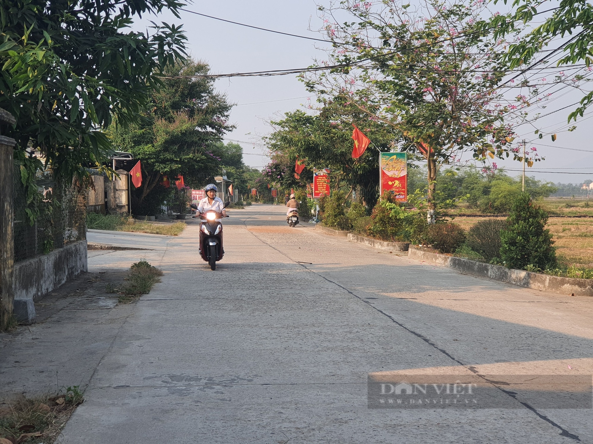 Một xã của tỉnh Quảng Nam, dân đồng lòng làm nông thôn mới kiểu mẫu, thu nhập đạt tới 56 triệu đồng/người- Ảnh 3.