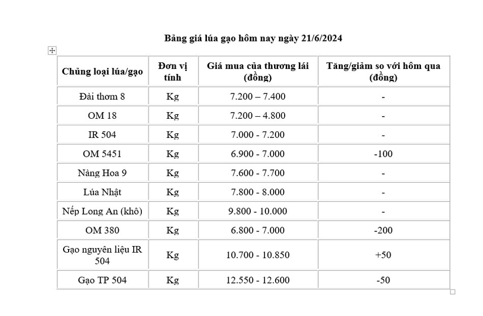 Giá lúa gạo hôm nay 21/6/2024: Giá lúa giảm nhẹ, giá gạo biến động