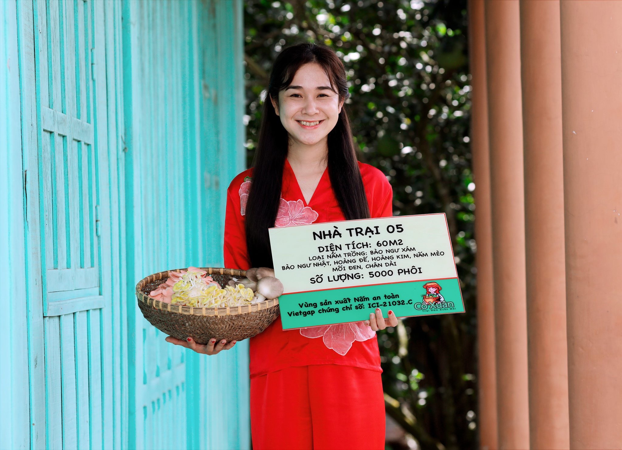 Mê ăn nấm, cô gái Bến Tre làm luôn nhà trồng nấm để khởi nghiệp- Ảnh 3.