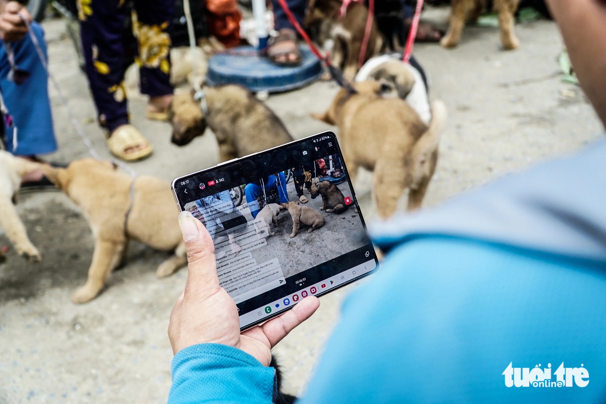 Livestream bán chó ở chợ phiên Bắc Hà, thu nhập bạc triệu mỗi buổi- Ảnh 8.