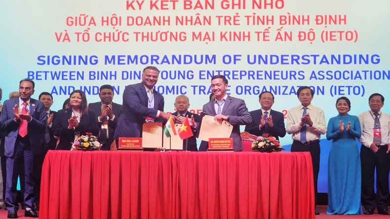 Thúc đẩy hợp tác kinh tế thương mại Việt Nam-Ấn Độ ảnh 5