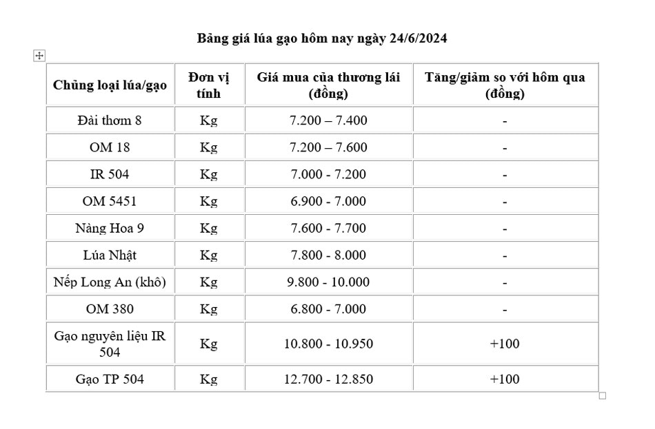 Giá lúa gạo hôm nay ngày 24/6/2024: Giá gạo tăng 100 đồng/kg; giá lúa quanh mốc 7.200 - 7.400 đồng/kg